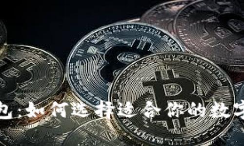探索虚拟币支付钱包：如何选择适合你的数字资产存储解决方案