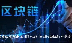 如何有效管理和使用Trust Wallet地址：一步步指导