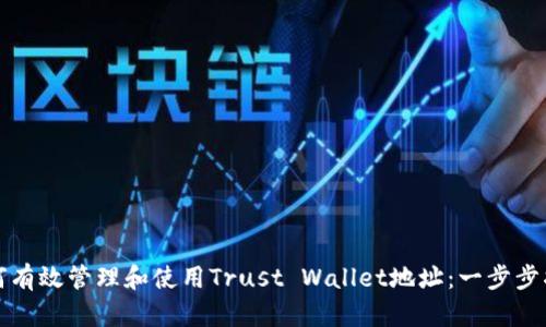 如何有效管理和使用Trust Wallet地址：一步步指导