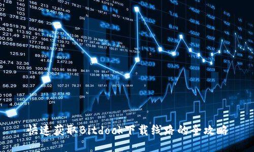 快速获取Bitdock下载线路的全攻略