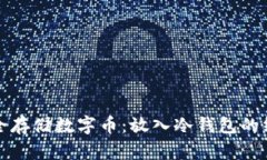如何安全存储数字币：放入冷钱包的终极指南