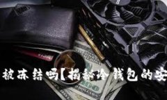 区块链冷钱包会被冻结吗？揭秘冷钱包的安全性