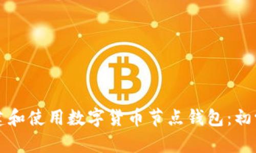 如何搭建和使用数字货币节点钱包：初学者指南