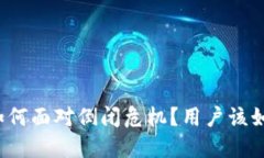 比特派钱包如何面对倒闭危机？用户该如何保护