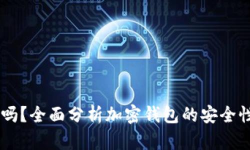 IM钱包安全吗？全面分析加密钱包的安全性及使用指南