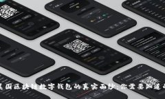揭开美国区块链数字钱包的真实面纱：你需要知