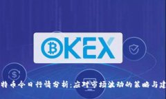 莱特币今日行情分析：应对市场波动的策略与建