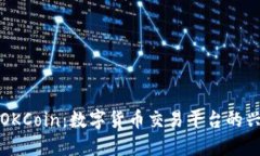 深入了解OKCoin：数字货币交易平台的兴起与发展