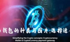 : 探索数字货币钱包的种类与图片：选择适合你的