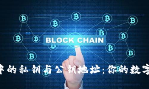 探索imToken中的私钥与公钥地址：你的数字资产安全之道