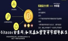 揭秘Biteceo交易所：如何在加密货币市场中抓住机