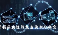 迅速掌握区块链钱包查询钥匙的实用指南