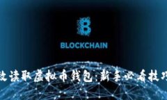 如何高效读取虚拟币钱包：新手必看技巧与建议