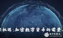 打造财富新机遇：加密数字货币的前景与未来趋