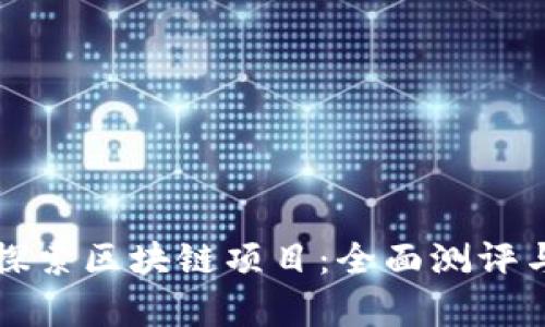 深入探索区块链项目：全面测评与分析