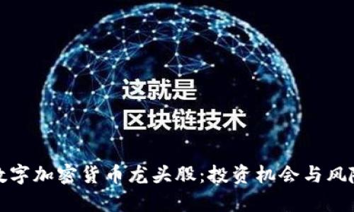 探索数字加密货币龙头股：投资机会与风险分析