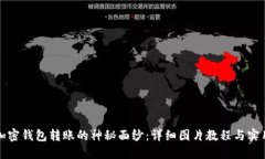 揭开加密钱包转账的神秘面纱：详细图片教程与