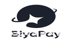 解决imToken钱包无法添加资产的实用指南
