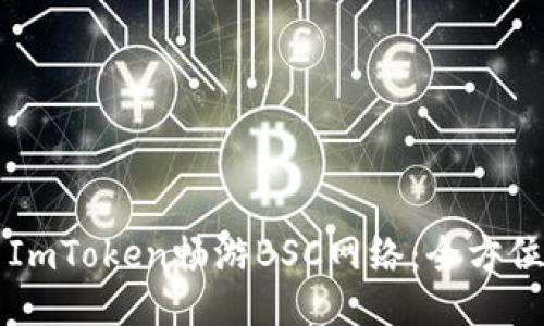 利用ImToken畅游BSC网络：全方位指南