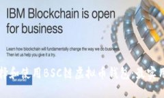 如何选择和使用BSC链虚拟币钱包：最实用的指南