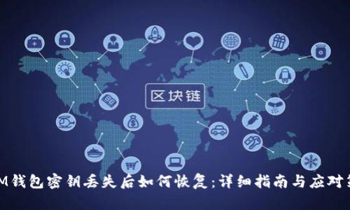: IM钱包密钥丢失后如何恢复：详细指南与应对策略