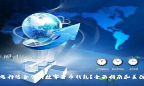 如何选择适合你的数字货币钱包？全面指南和美图展示