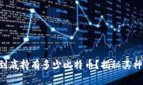 中本聪到底持有多少比特币？揭秘其神秘财富！