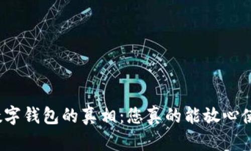 揭开数字钱包的真相：您真的能放心使用吗？
